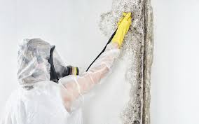 New Johnsonville, TN Mold Remediation Company